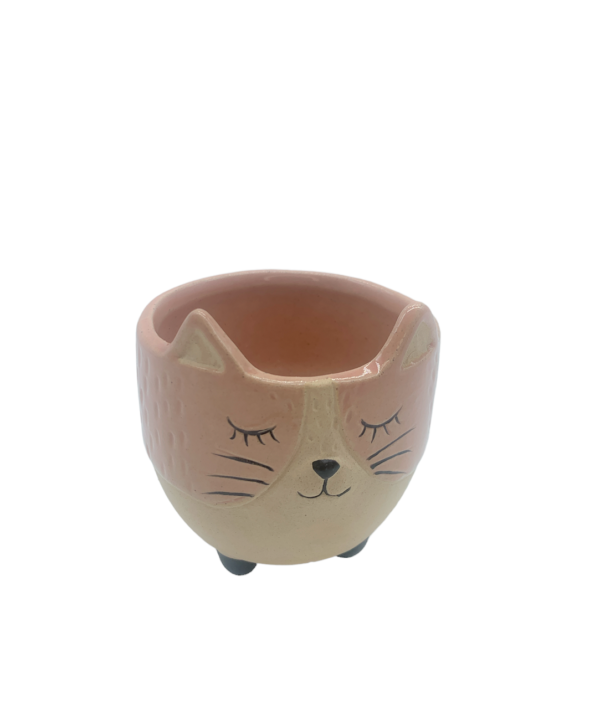 Gattino porta piantina rosa con sacchetto - immagine 5
