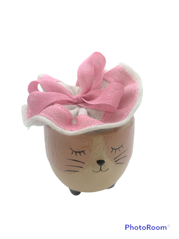 Gattino porta piantina rosa con sacchetto