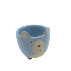 Orso porta piantina celeste