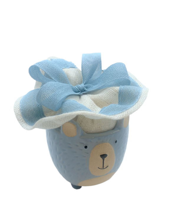 Orso porta piantina celeste con sacchetto