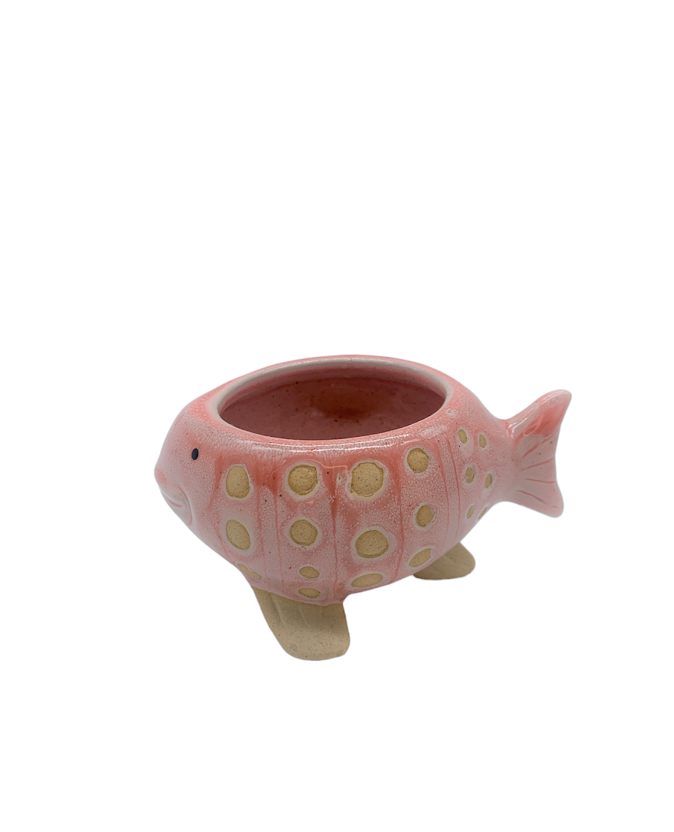 Pesciolino porta piantina rosa