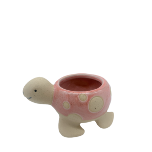 Tartarughina porta piantina rosa