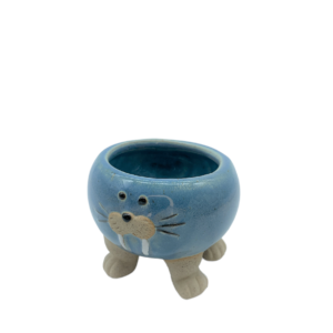 Tricheco porta piantina azzurro
