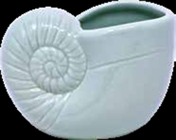 Vasetto Conchiglia Azzurro Acqua