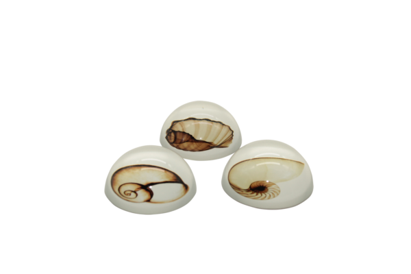 Fermacarte piccolo con conchiglie