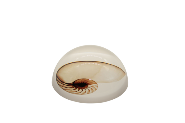 Fermacarte grande con conchiglie
