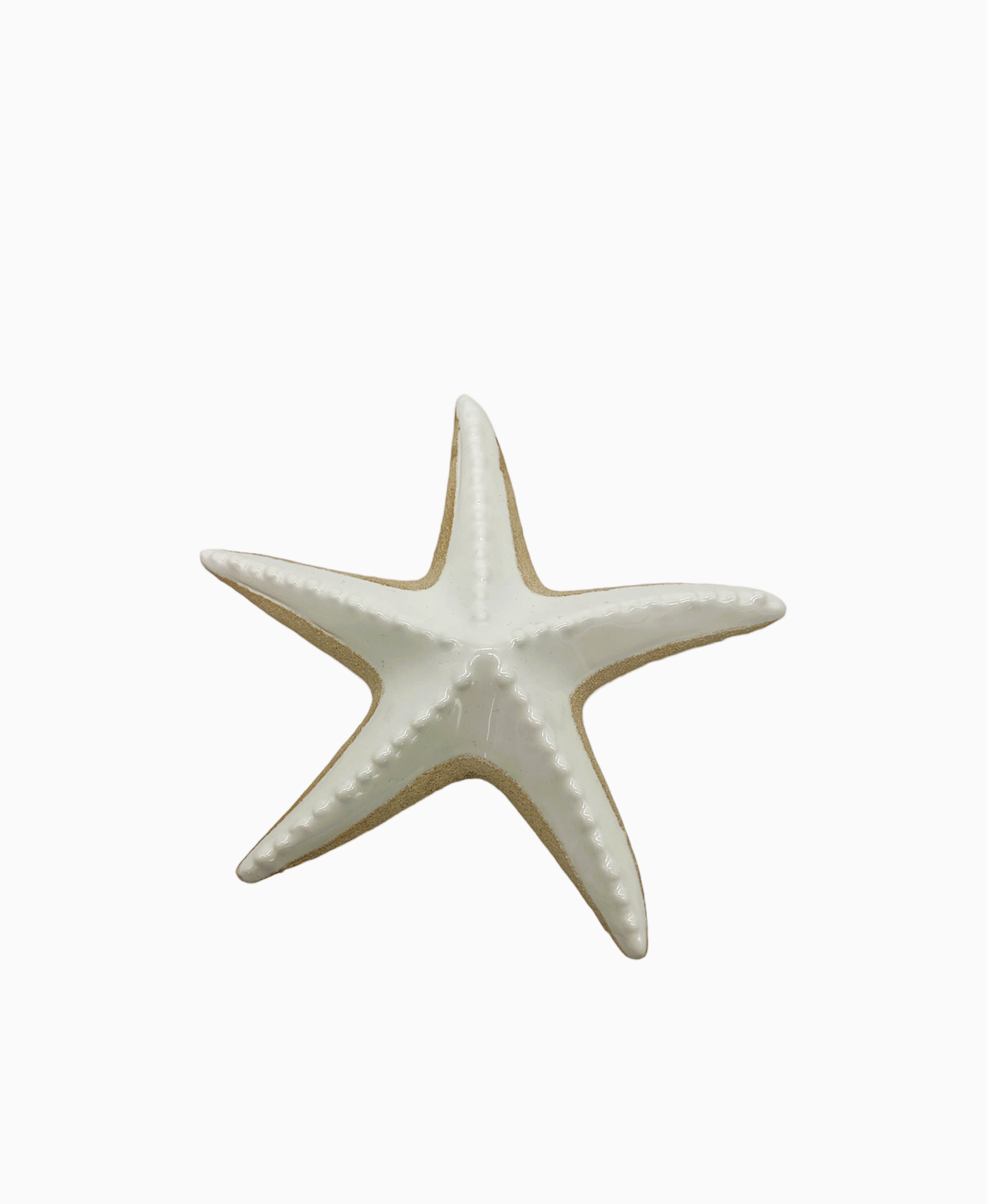 Stella Marina bianca e sabbia