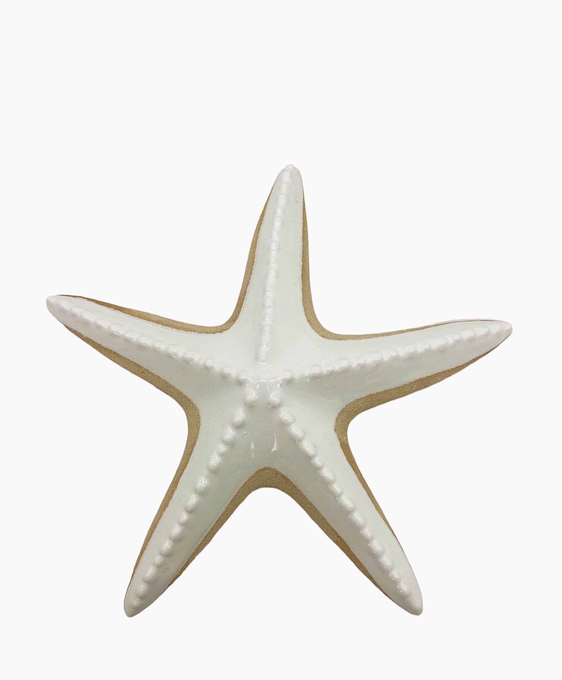 Stella Marina grande bianca e sabbia