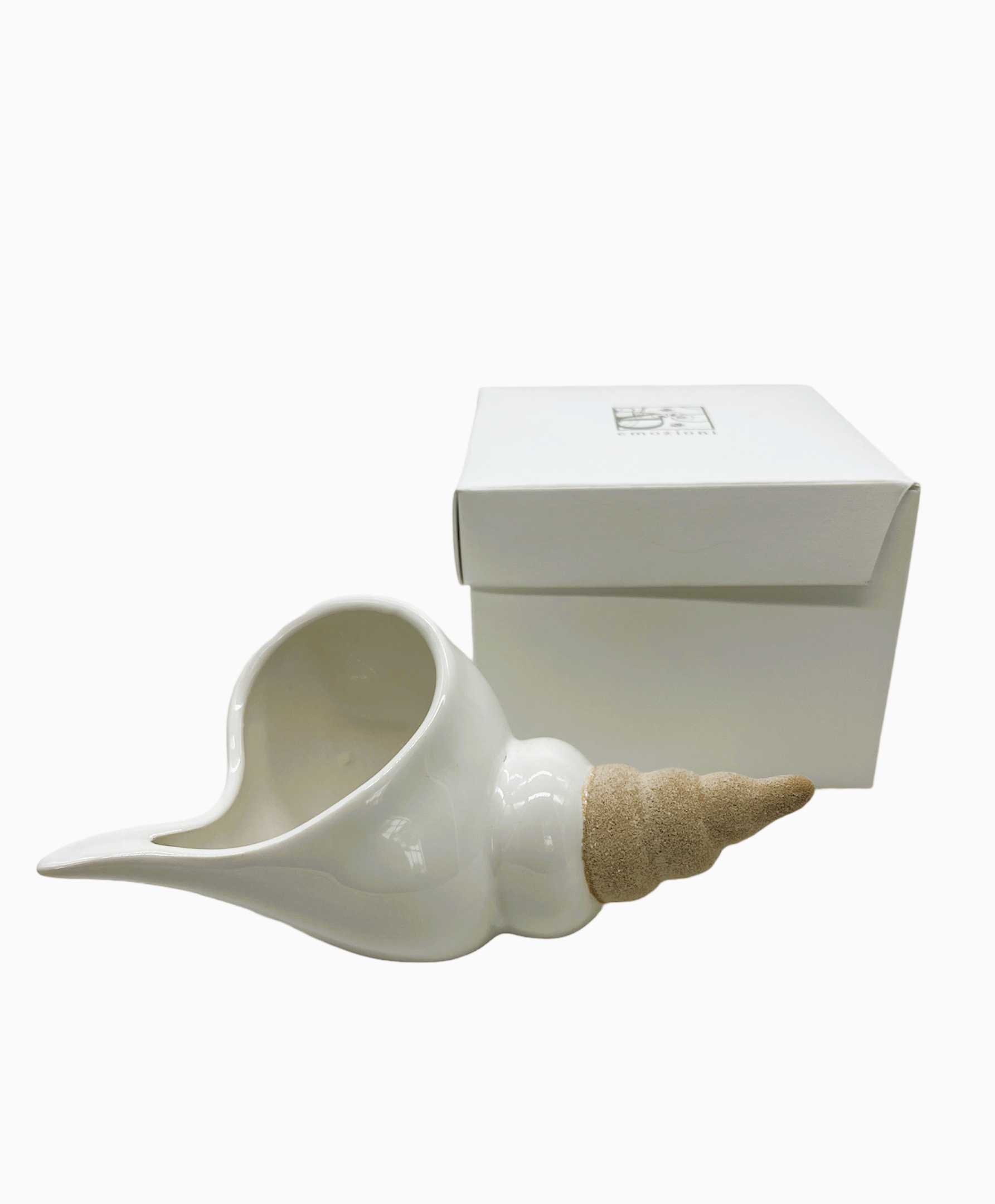Conchiglia bianca e sabbia