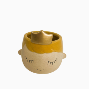 Principe porta piantina giallo