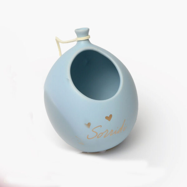 Palloncino portapiantina satin con scritta in 5 colori a scelta - immagine 3