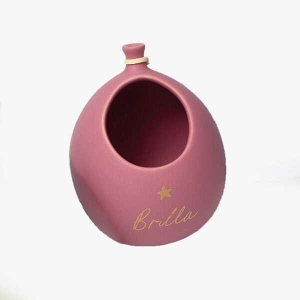 Palloncino portapiantina satin con scritta in 5 colori a scelta - immagine 2